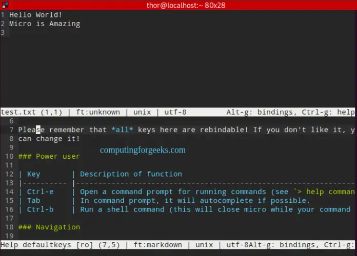 Install and Use Micro terminal text editor on Rocky/AlmaLinux 8