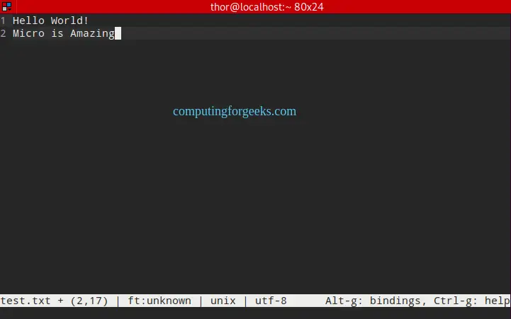 Install and Use Micro terminal text editor on Rocky/AlmaLinux 8 1 Install and Use Micro terminal text editor on