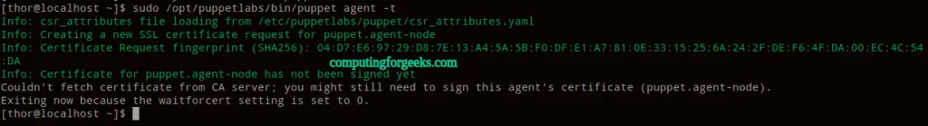 Install Puppet 7 Server and Agent on CentOS 7|RHEL 7 3 Install Puppet 7 Server and Agent on CentOSRHEL 4