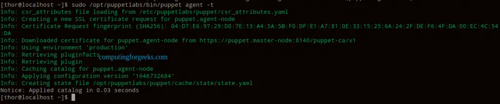 Install Puppet 7 Server and Agent on CentOS 7|RHEL 7 4 Install Puppet 7 Server and Agent on CentOSRHEL 5