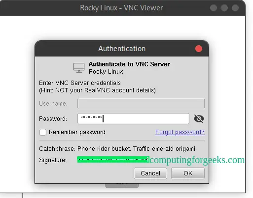 Setup RealVNC Server and Client on Rocky Linux 8|AlmaLinux 8 15 Setup RealVNC Server and Client on Rocky LinuxAlmaLinux 14