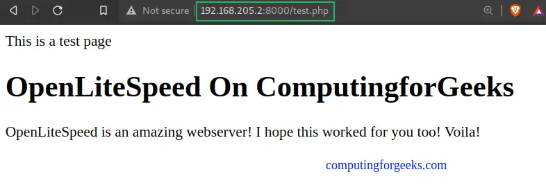 Install and Configure OpenLiteSpeed on RHEL 8 / Rocky Linux 8 15 Install and Configure OpenLiteSpeed on RHEL Rocky Linux 14