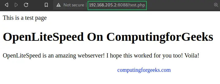Install and Configure OpenLiteSpeed on RHEL 8 / Rocky Linux 8 10 Install and Configure OpenLiteSpeed on RHEL Rocky Linux 9