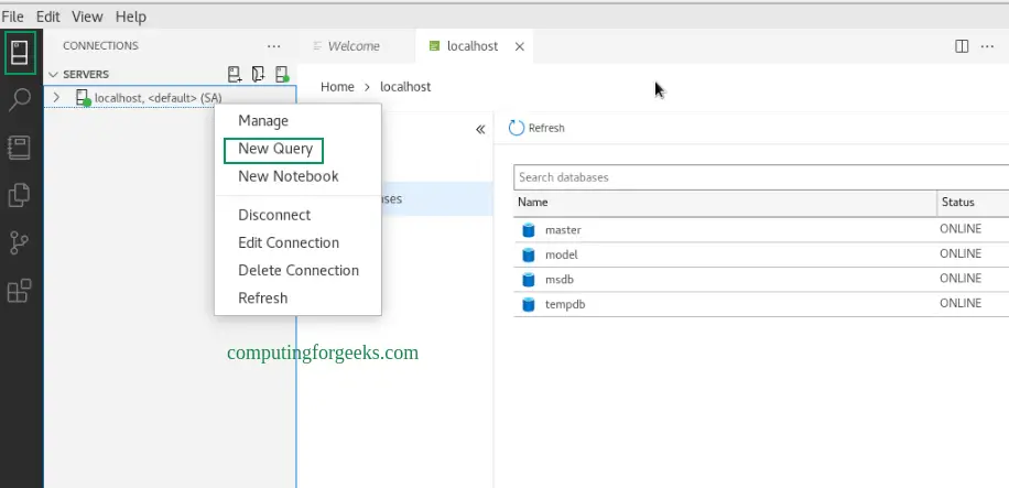 Install Azure Data Studio on Rocky / AlmaLinux 8 5 Install and Use Azure Data Studio on Rocky Linux 8AlmaLinux 8 3