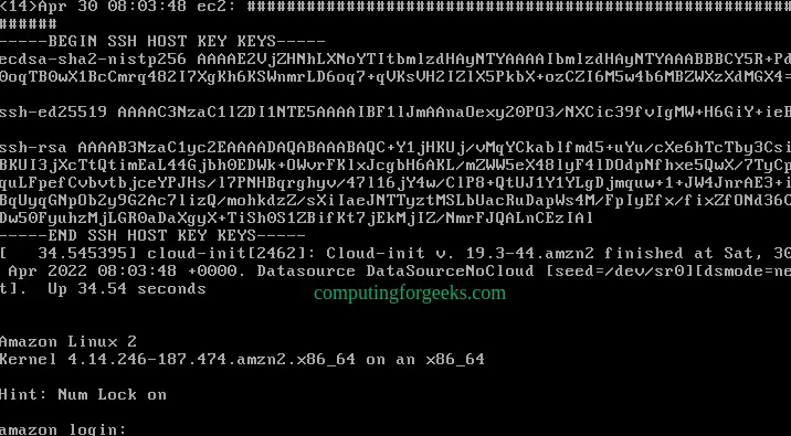 Run Amazon Linux 2 on VirtualBox/VMware/Hyper-V 7 Run Amazon Linux 2 on VirtualBox VMware vSphere Hyper V 6