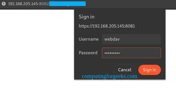 Create and Use Samba NFS WebDAV Shares on TrueNAS 25