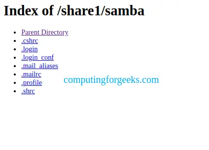Create and Use Samba NFS WebDAV Shares on TrueNAS 26