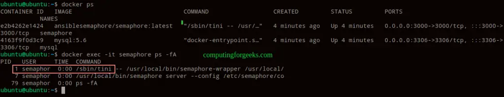 How To Use Tini Init system in Docker Containers