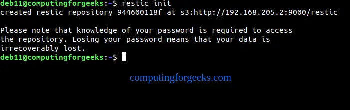 Backup Linux System to Minio S3 and SFTP Server using Restic 1