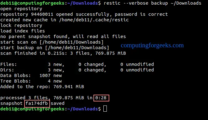 Backup Linux System to Minio S3 and SFTP Server using Restic 2