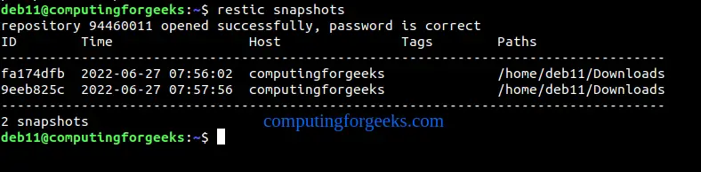 Backup Linux System to Minio S3 and SFTP Server using Restic 4