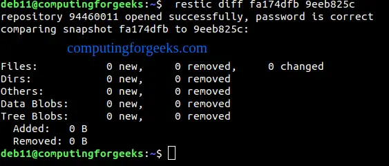 Backup Linux System to Minio S3 and SFTP Server using Restic 5