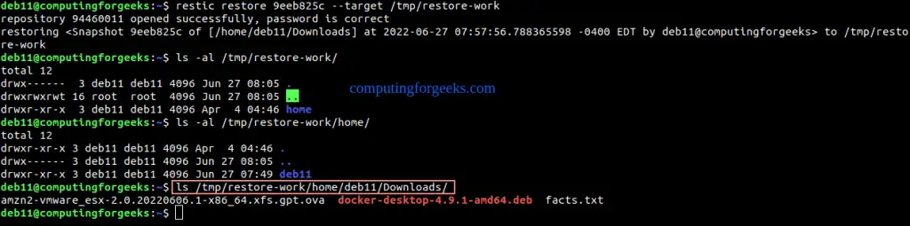 Backup Linux System to Minio S3 and SFTP Server using Restic 6