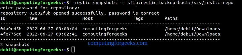 Backup Linux System to Minio S3 and SFTP Server using Restic 7