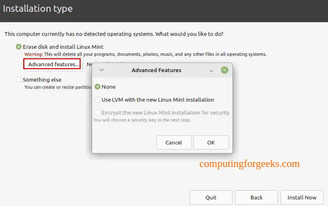 Install Linux Mint 21 - Step by Step With Screenshots 18 Install Linux Mint 21 18