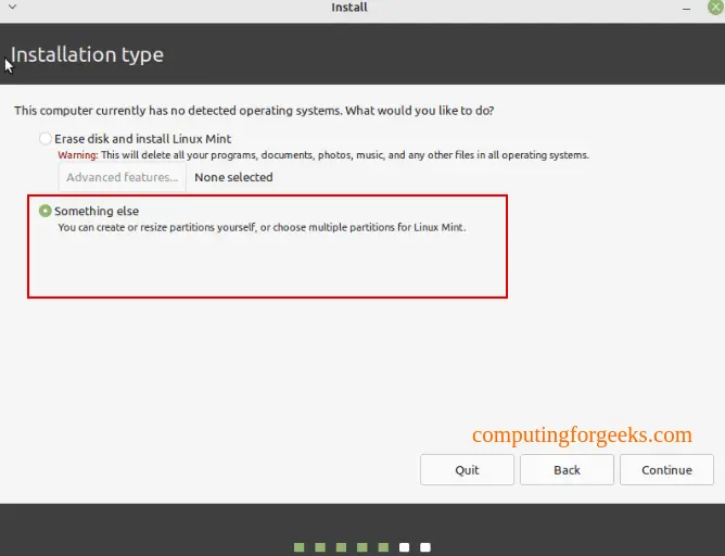 Install Linux Mint 21 - Step by Step With Screenshots 19 Install Linux Mint 21 19