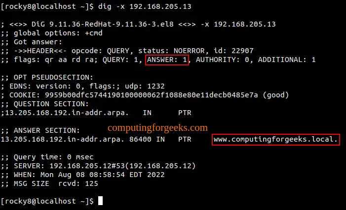 Configure Master BIND DNS on Rocky Linux 9 / AlmaLinux 9 3 Master BIND DNS on Rocky Linux 9 1