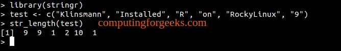 Install R and Rstudio on Rocky Linux 9 / AlmaLinux 9 1 R and Rstudio on Rocky Linux 9 AlmaLinux 9 9