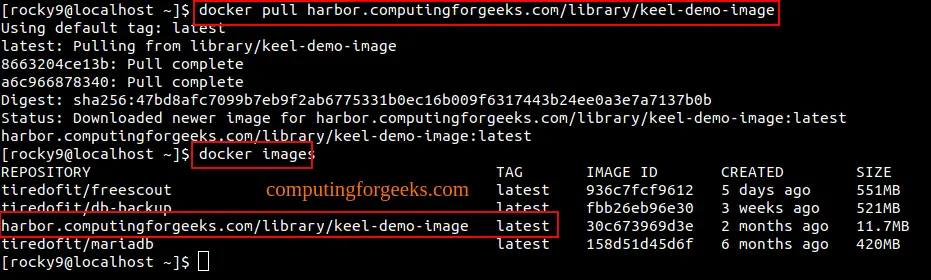 Install Harbor Image Registry on Ubuntu 22.04|20.04 17 Harbor Container Image Registry on Ubuntu 16