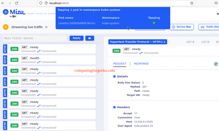 Analyze Kubernetes API Traffic using Mizu 5