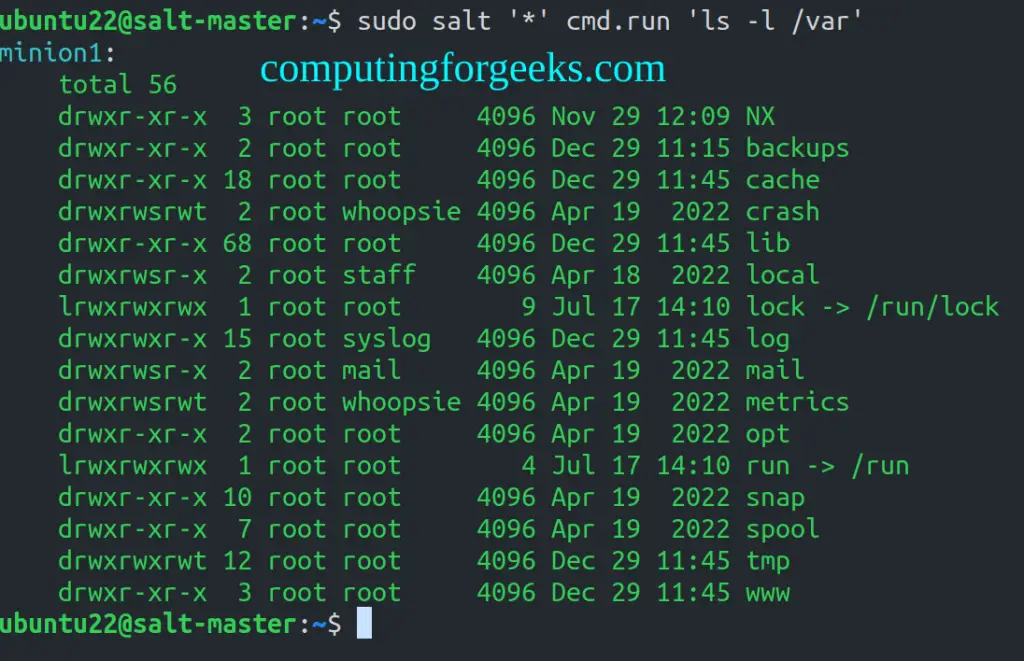 How To Install Salt master and minion on Ubuntu 22.04 4 Install Salt master and minion on Ubuntu 22.04 2