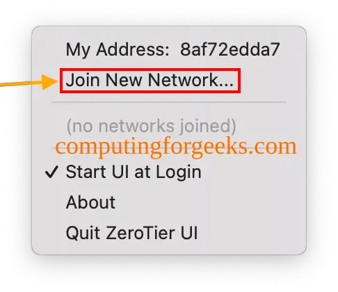 How To Set up and Use ZeroTier VPN Server 5 ZeroTier VPN Server 7