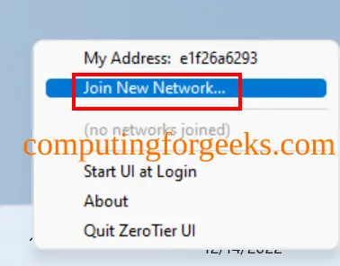 How To Set up and Use ZeroTier VPN Server 7 ZeroTier VPN Server 9