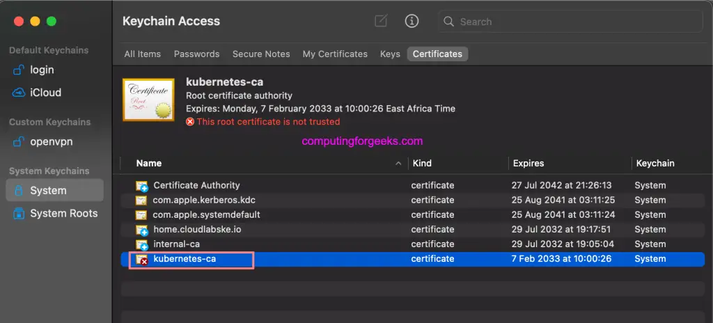 How To Expose Ansible AWX Service using Nginx Ingress 5 awx ingress ssl ca import 02