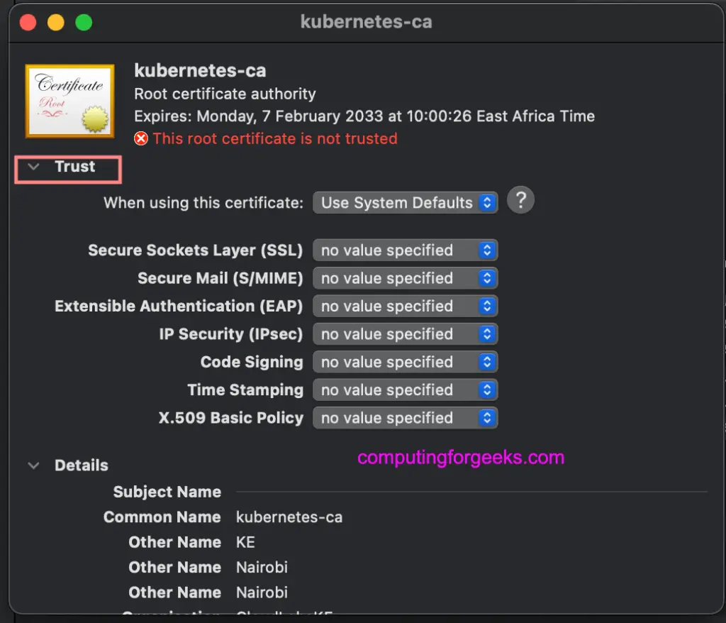 How To Expose Ansible AWX Service using Nginx Ingress 6 awx ingress ssl ca import 03