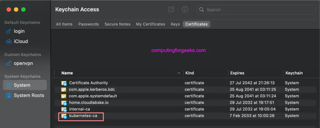 How To Expose Ansible AWX Service using Nginx Ingress 8 awx ingress ssl ca import 05