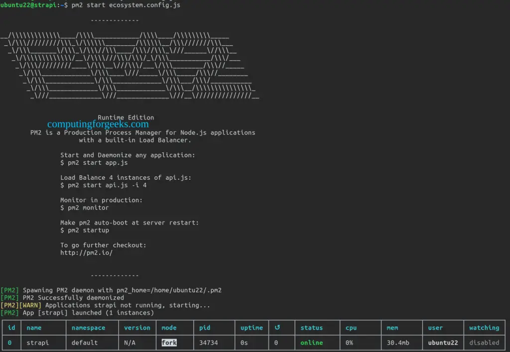 Deploy Strapi App on Ubuntu 22.04 With SEO Plugin 3