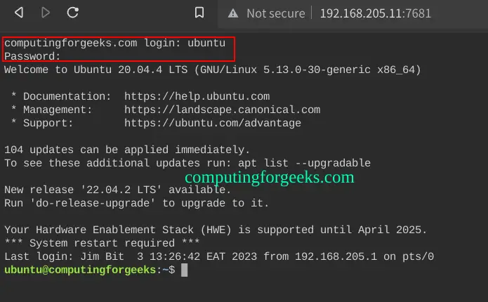 Share your Linux Terminal over the Web using ttyd 1