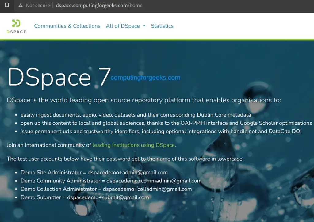 Install DSpace 7 Repository on Ubuntu 20.04|18.04 6 DSpace 7 Repository on Ubuntu 20.0418.04 5