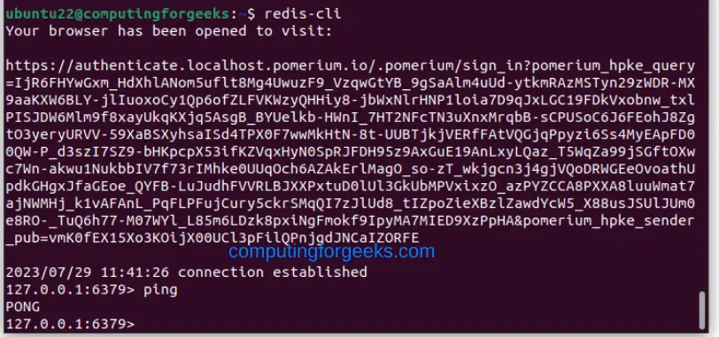 Install and Configure Pomerium Proxy for your Services 8 Install and Configure Pomerium Proxy for your Services 1