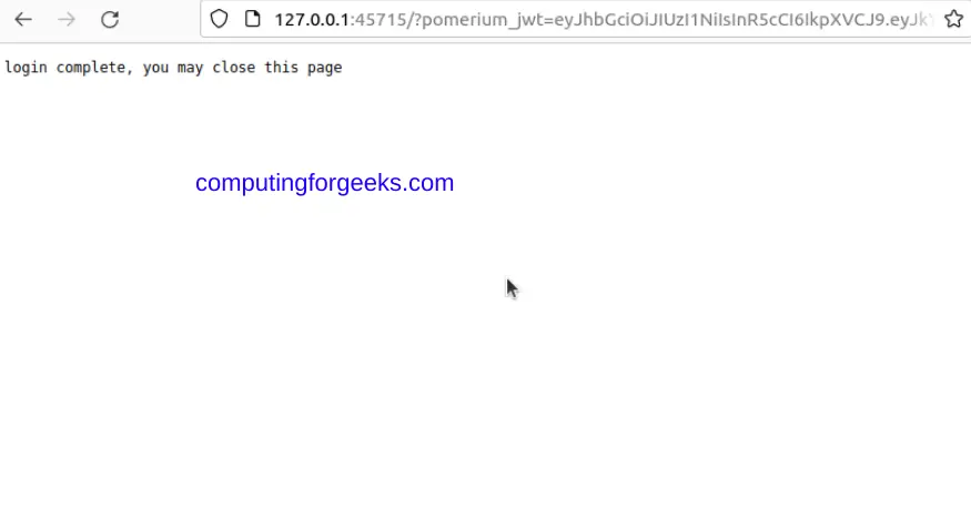 Install and Configure Pomerium Proxy for your Services 6 Install and Configure Pomerium Proxy for your Services 6