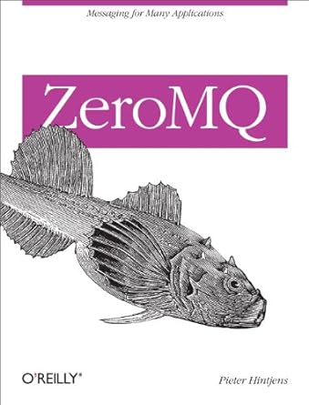Books To Learn RabbitmqActivemqZeromq 6