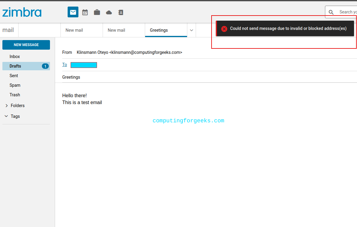 Restrict Zimbra Local Domains from Sending Emails [Guide]