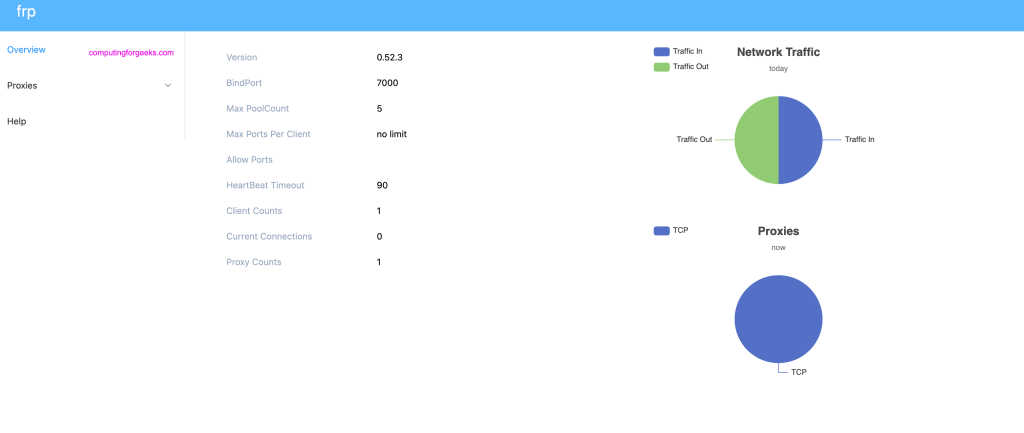 Expose Local Server behind NAT to Internet using FRP Proxy 2 frp server ui