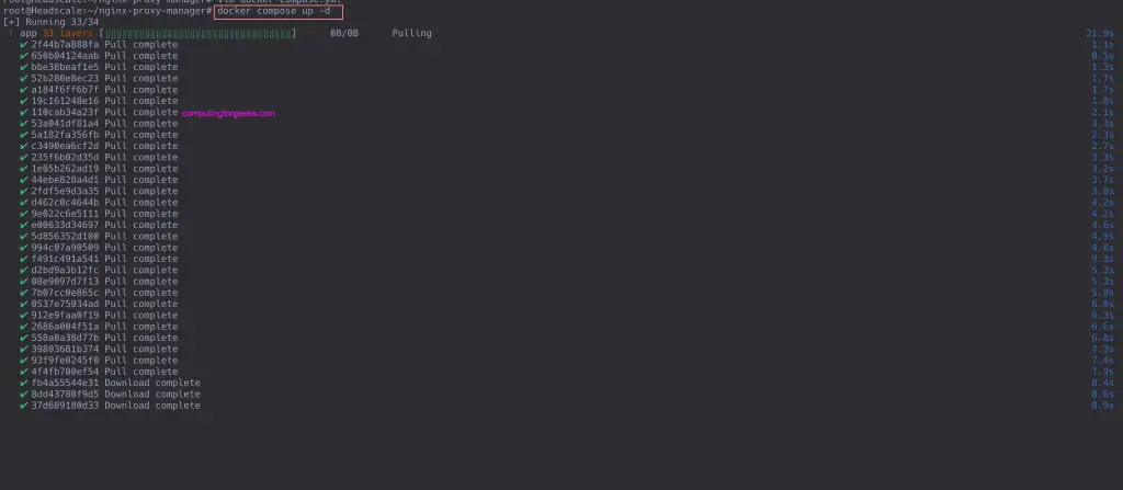 How To Run Nginx Proxy Manager in Docker Container 1 Install Nginx Proxy Manager 01