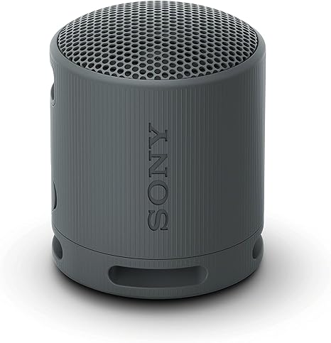 Best Portable and Waterproof Speakers in 2024 2 Sony SRS XB100 Speaker