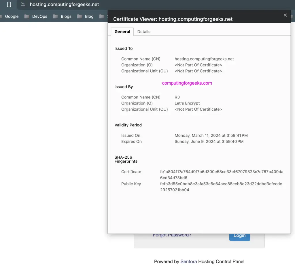 Install Sentora Web Hosting on Ubuntu 22.04|20.04|18.04 8 Install Sentora 07