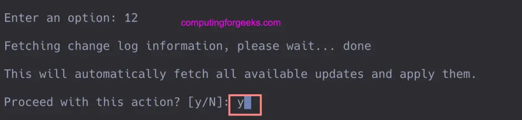 How To Update OPNsense From Web UI or Terminal Console 10 OPNsense Update 10
