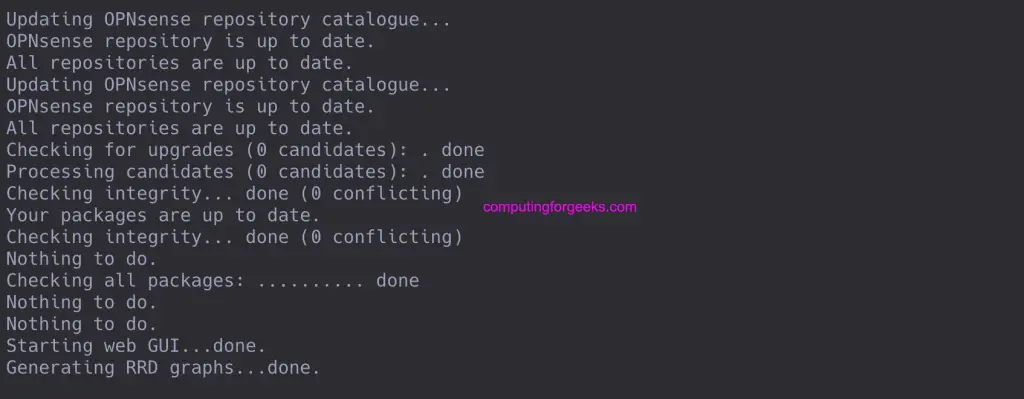 How To Update OPNsense From Web UI or Terminal Console 11 OPNsense Update 11