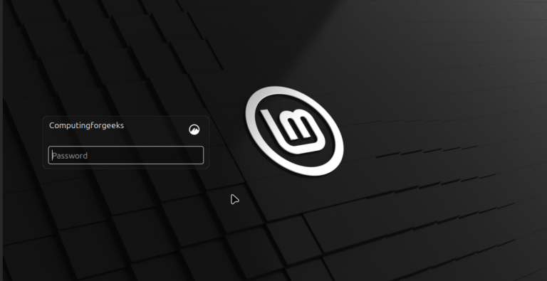 install linux mint 22 13