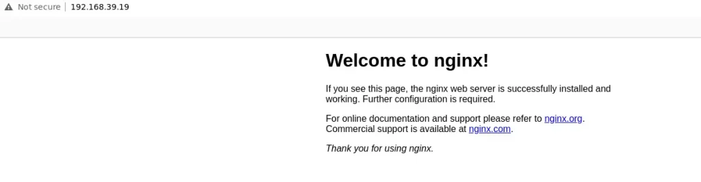 Setup Minikube Local Kubernetes on Debian 1 e1728643276418