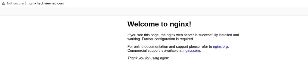 Setup Minikube Local Kubernetes on Debian 2 e1728642996520