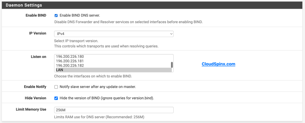 how to configure bind dns server on pfsense 02