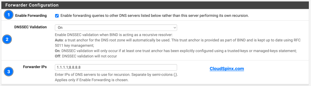 how to configure bind dns server on pfsense 05