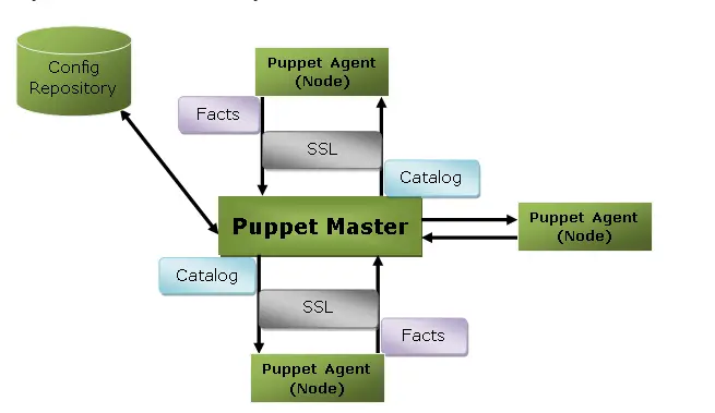 Install and Use Puppet Server 8 on Debian 1 e1733468886305