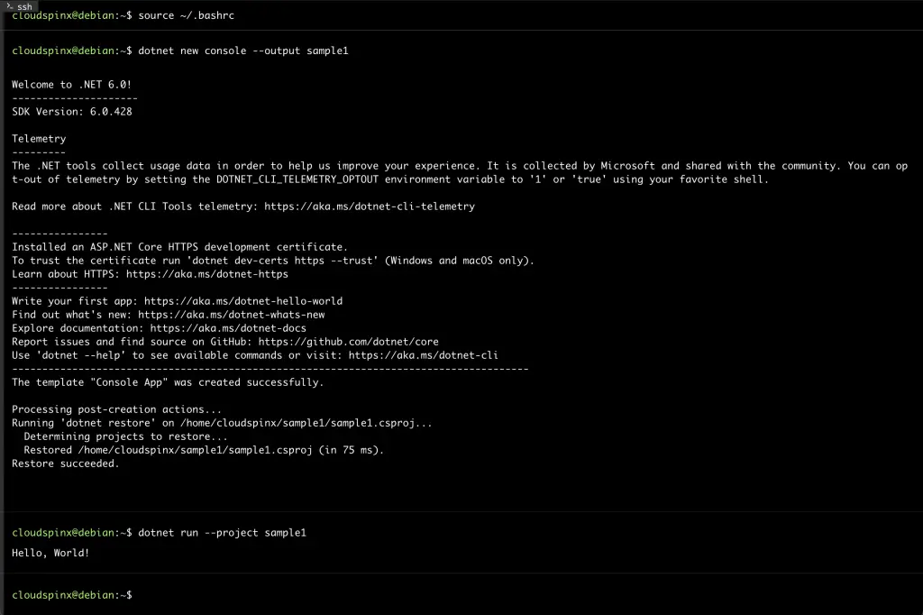 Install and Use .NET Core 6 on Debian 01